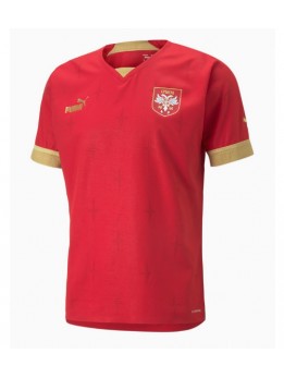 Serbien Replika Hemmakläder VM 2022 Kortärmad